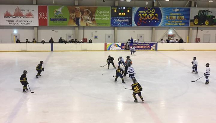 Шершні. Фото