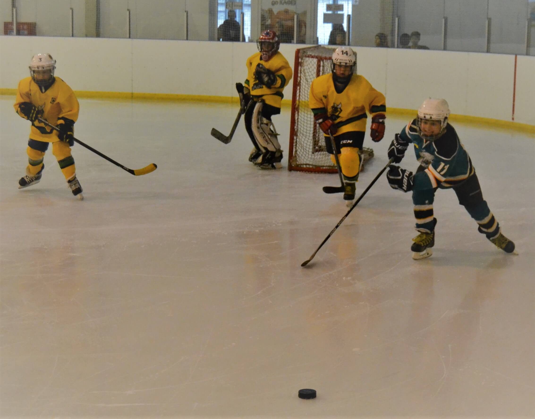  Чемпіонат Києва з хокею, Богуслав