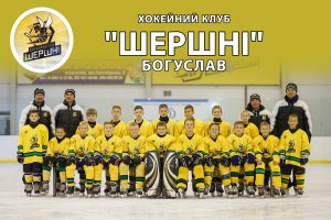 "Шершні", Богуслав