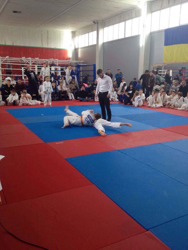 дзюдо, Васильків