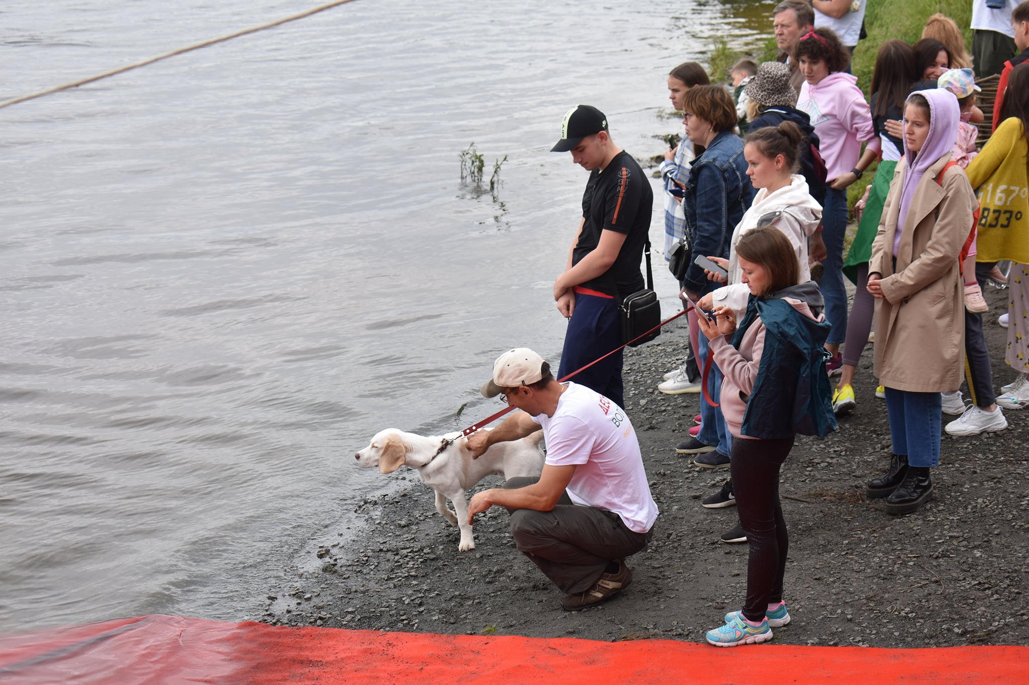 заплив на відкритій воді «Десна 6.5». фото
