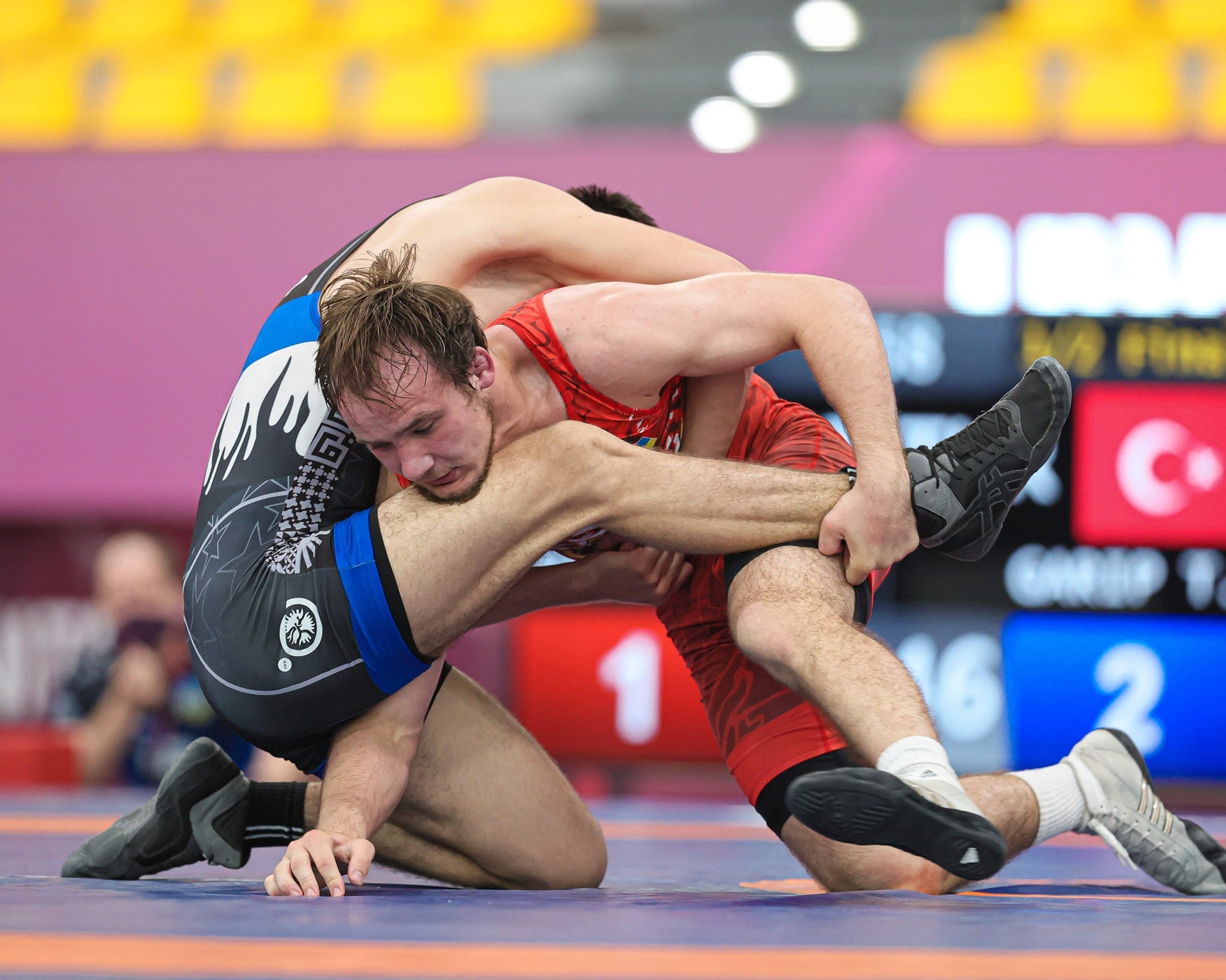  чемпіонат Європи серед юніорів з вільної боротьби, Дортмунд. фото