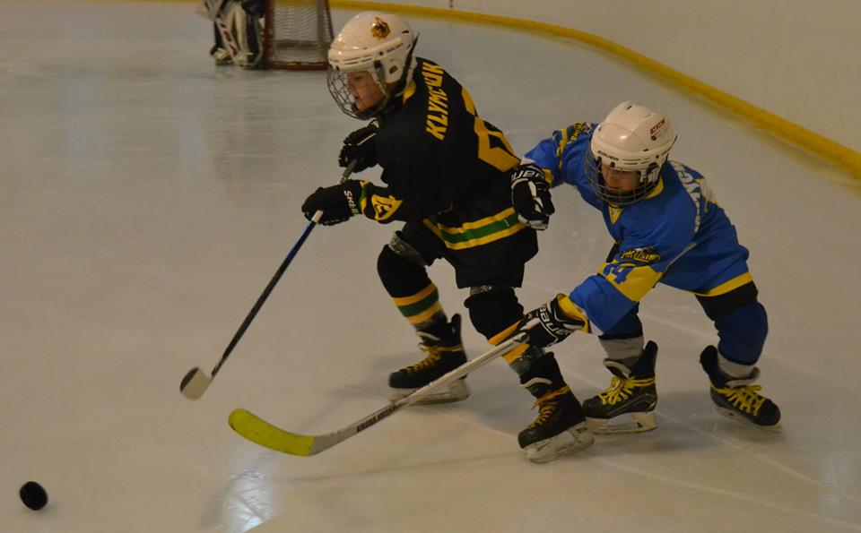 “Шершні” (Богуслав). Фото