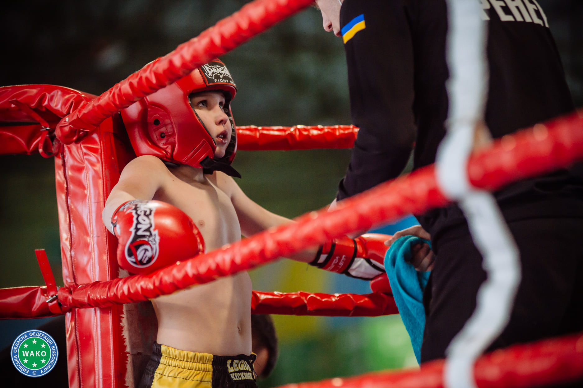  чемпіонат Київської області-2022 з кікбоксингу WAKO, Бровари. фото