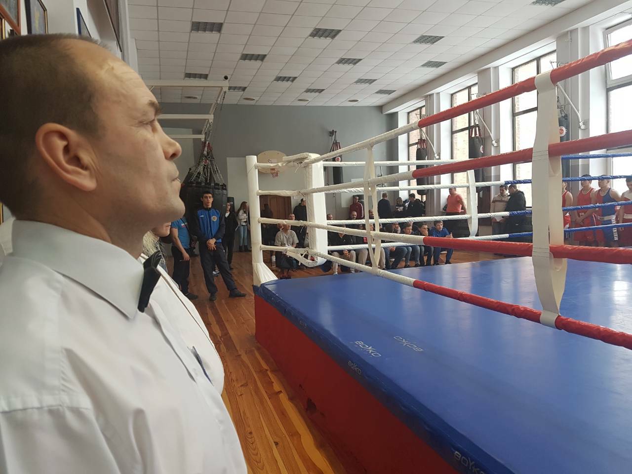 Чемпіонат Київщини з боксу, Бровари. Фото