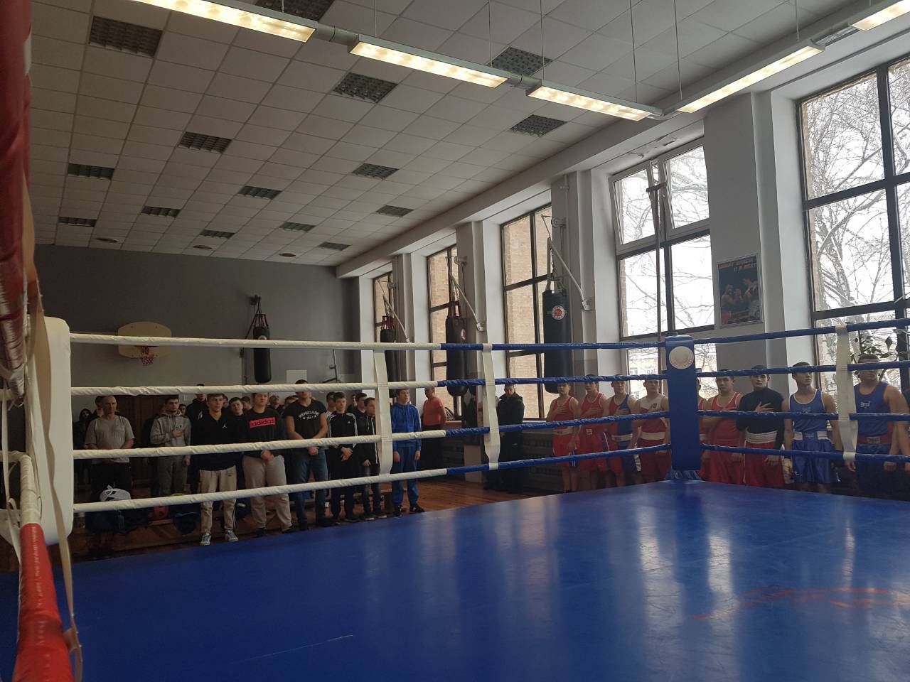 Чемпіонат Київщини з боксу, Бровари. Фото