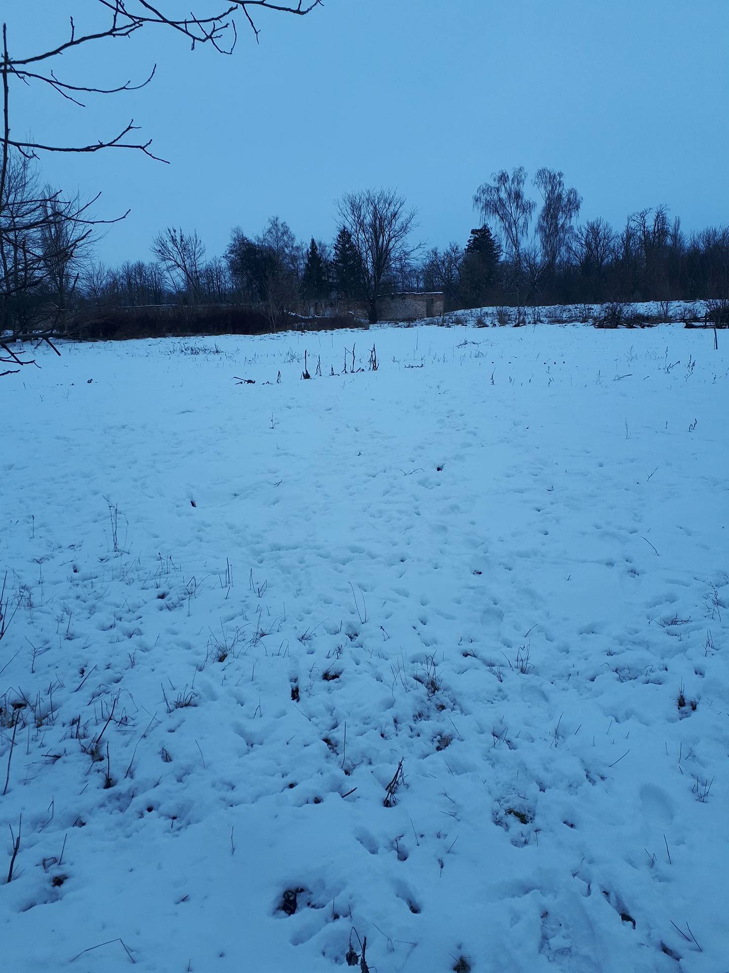 ЦОП Терезіне. Фото