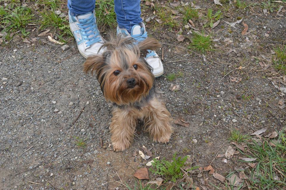 Навчально-спортивна база, Осещина. Фото