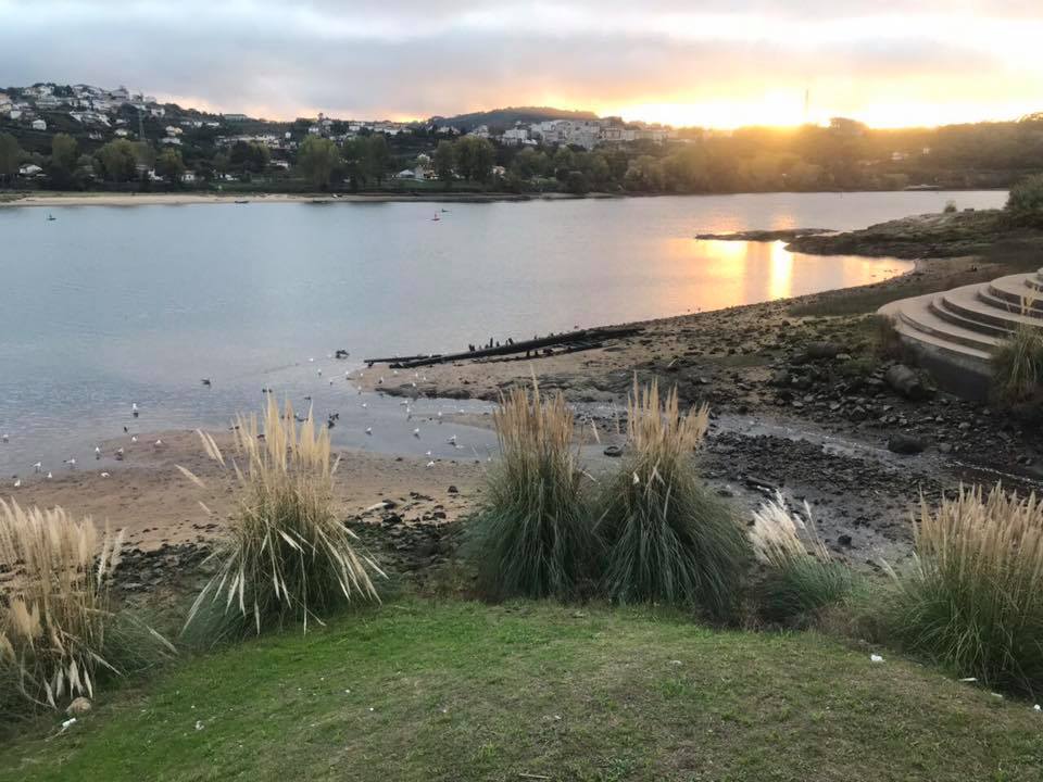 Міжнародна веслувальна регата, Португалія. Фото