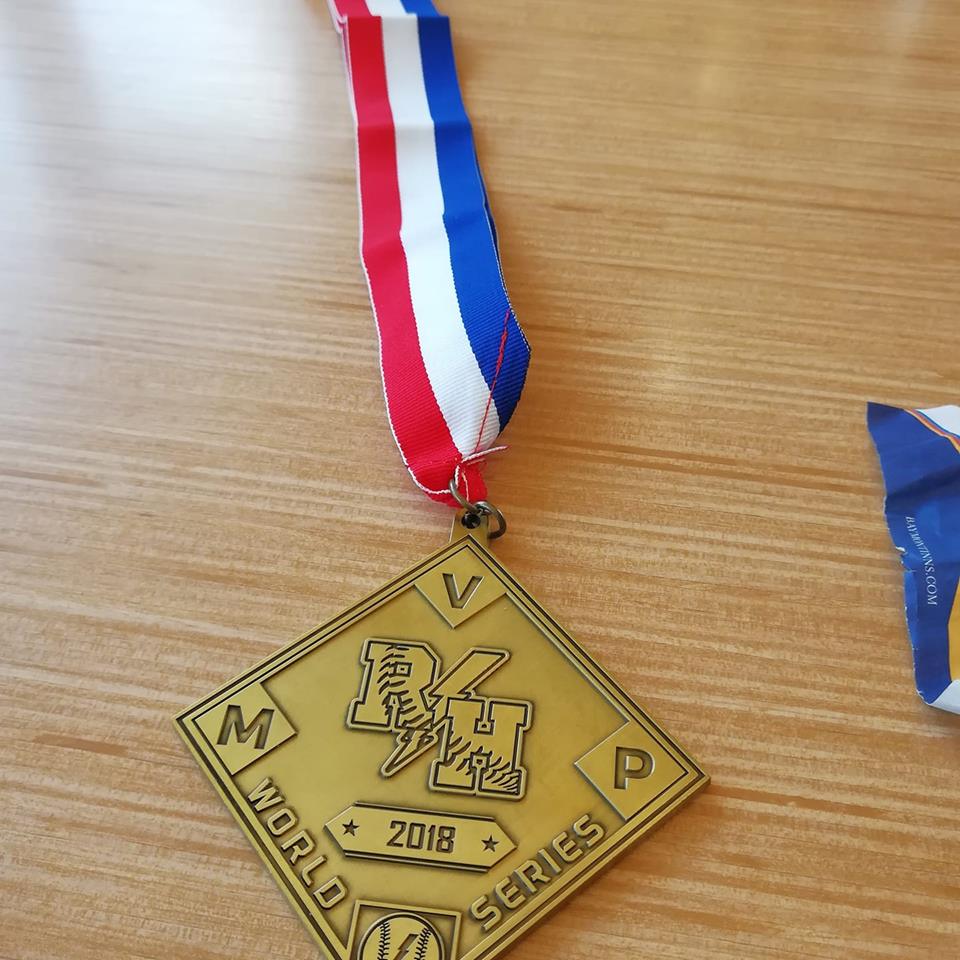 Турнір з бейсболу Світова серія Роя Гоббса, США. Фото