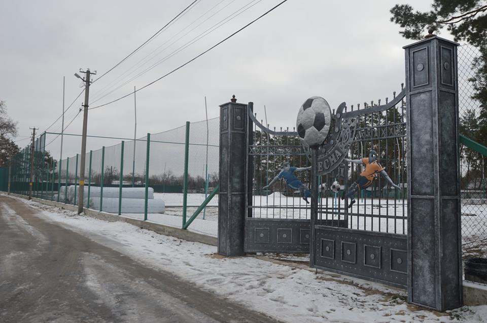 Передача комплекту штучного покриття для футбольних полів, Пірнове. Фото