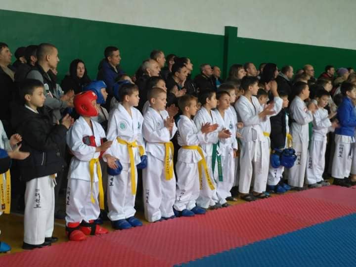 Кубок Київської області з таеквондо, Березань. Фото