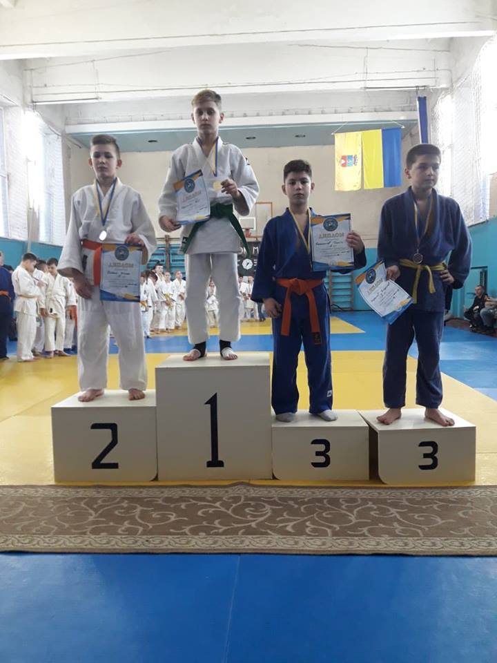 Чемпіонат Київської області з дзюдо, Васильків. Фото