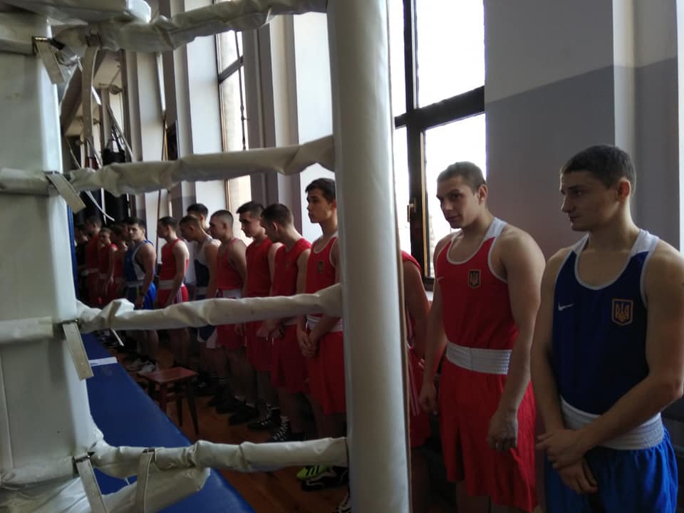 Чемпіонат Київської області з боксу, Бровари. Фото