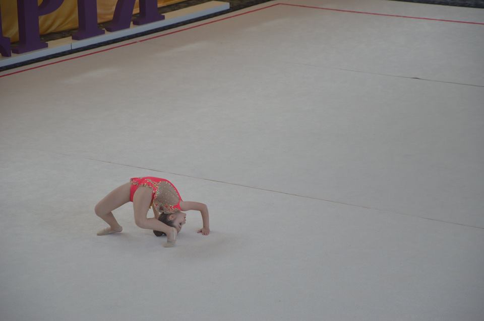 Чемпіонат з художньої гімнастики Олександрія. Фото