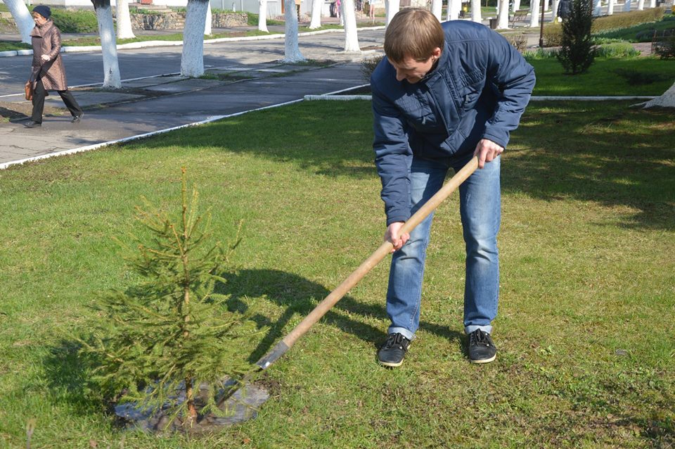 Посади своє дерево, Володарка. Фото