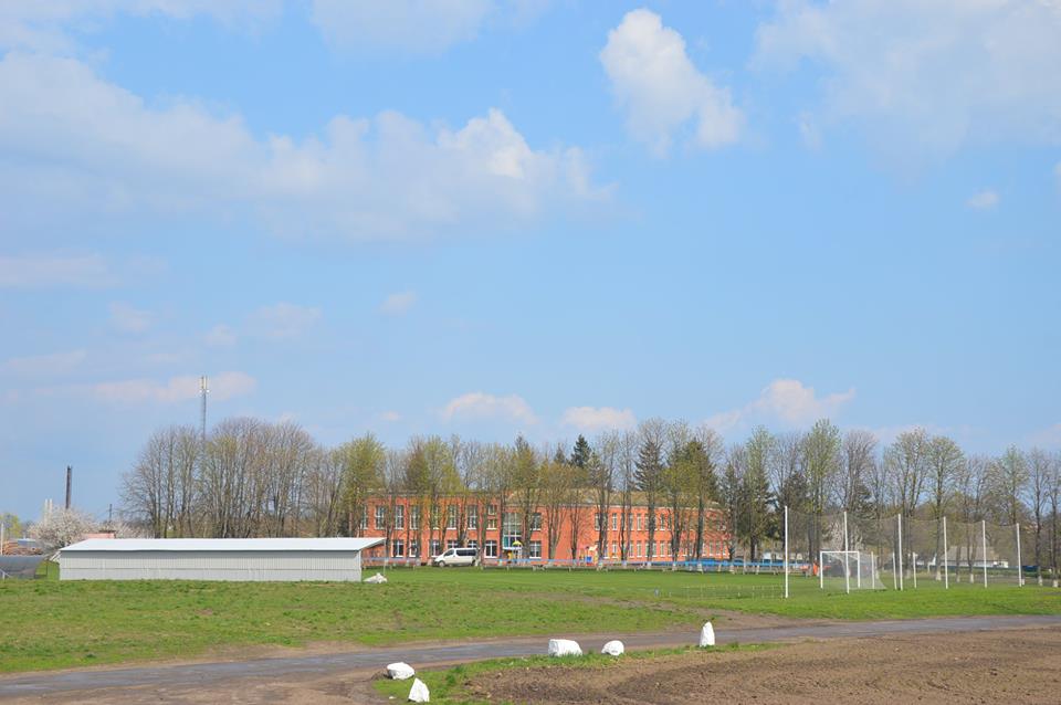 Будівництво спортивного майданчика у Пустоварівці. Фото