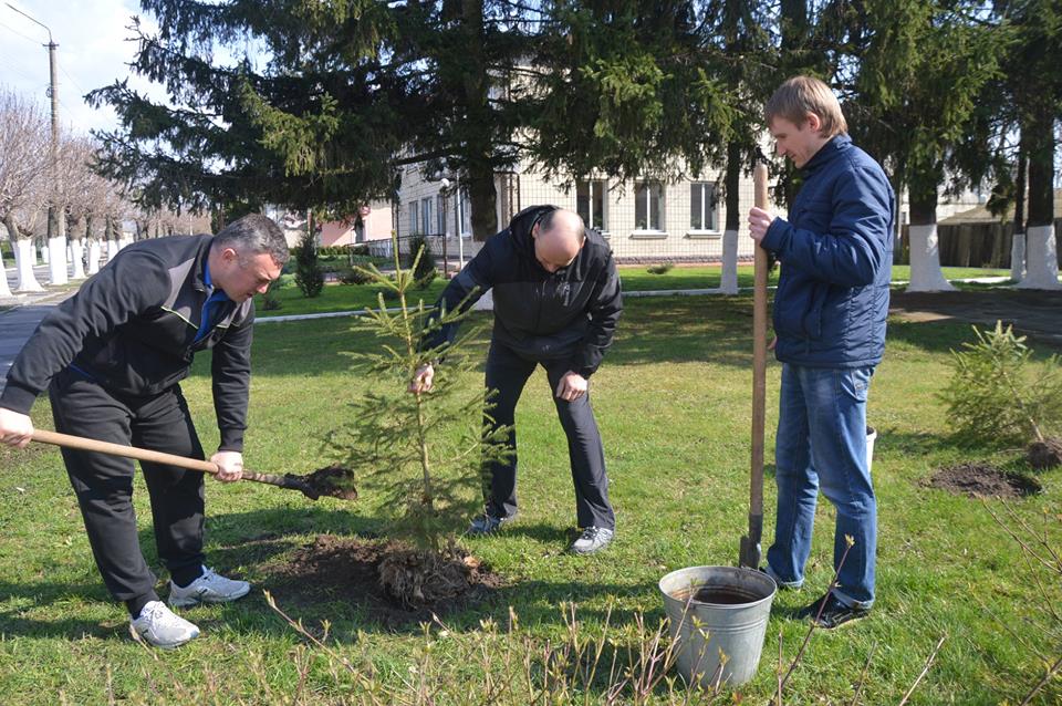 Посади своє дерево, Володарка. Фото