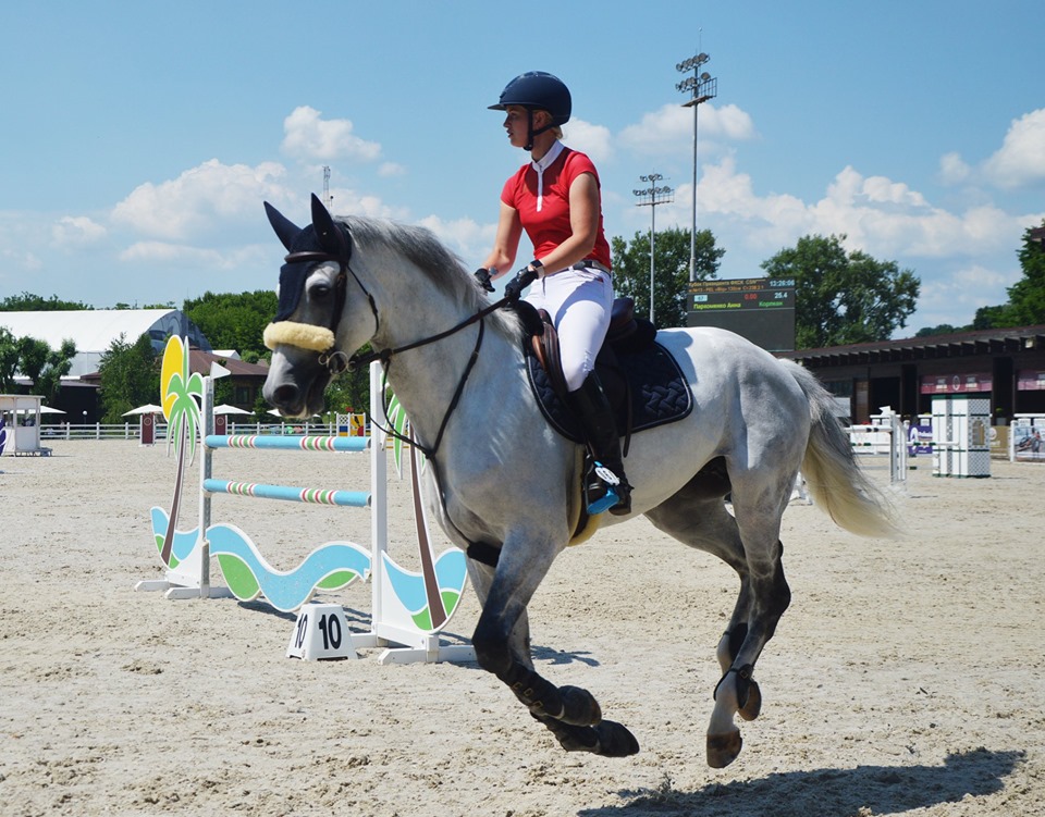Кінне шоу Kyiv Horse Show, Лісники. Фото