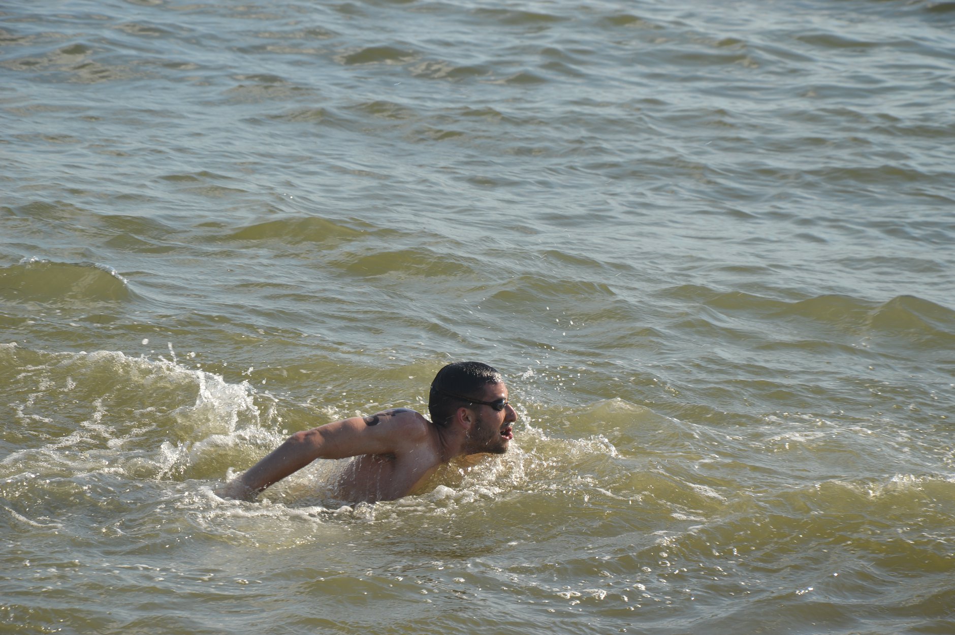 ЧУ з плавання на відкритій воді, Бердянськ. Фото