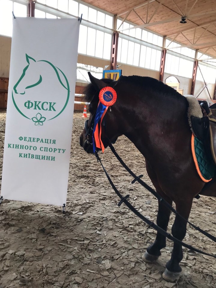 Олімпійський Startup, Рівне. Фото