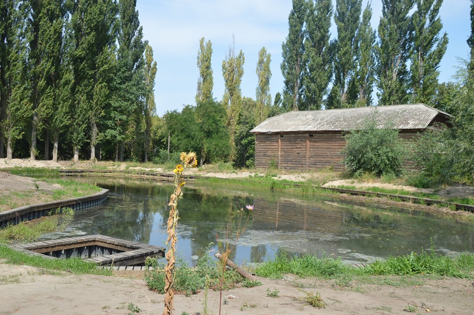 Велопробіг Переяславом до Дня Незалежності. Фото