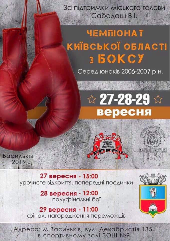 Чемпіонат Київської області з боксу, Васильків. Фото