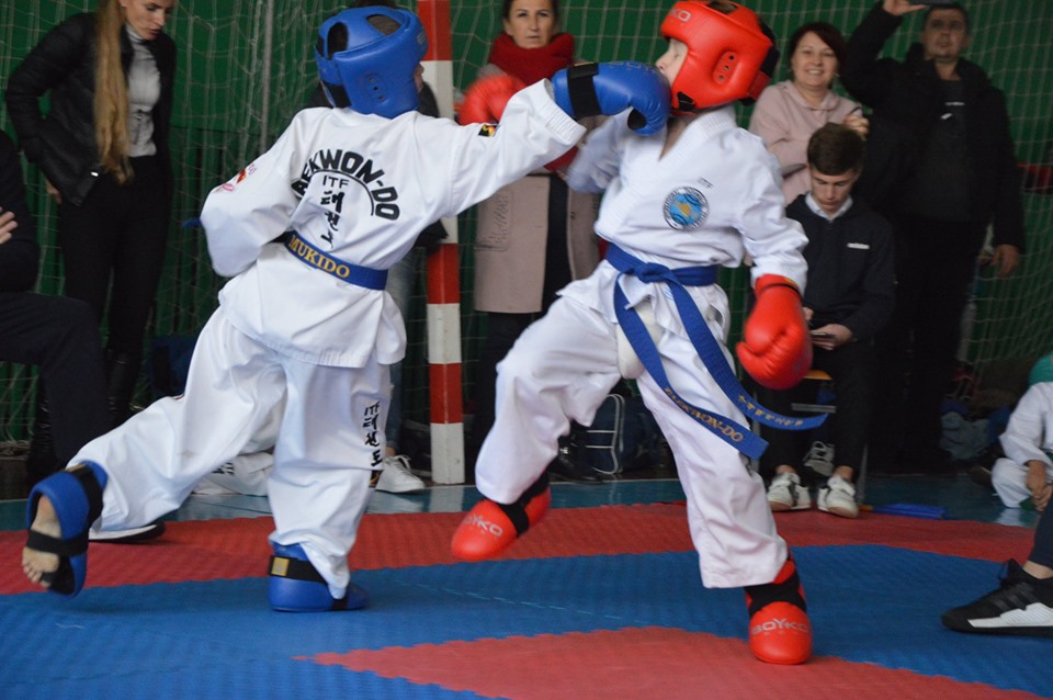 Кубок Київської області з таеквон-до ІТФ, Березань. Фото