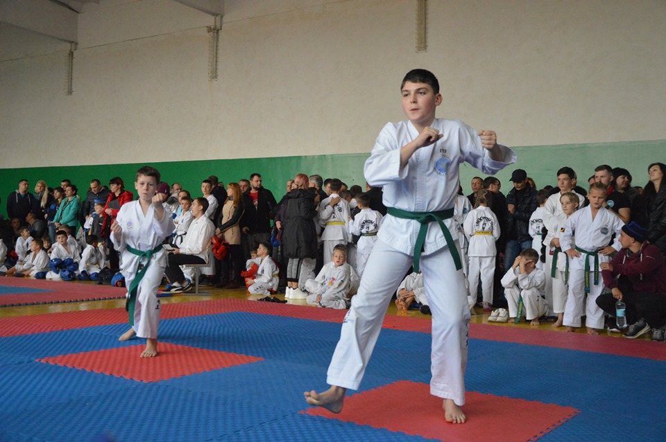 Кубок Київської області з таеквон-до ІТФ, Березань. Фото