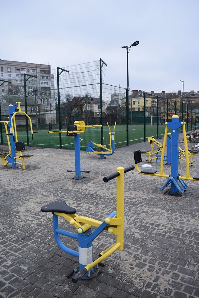 Сергій Тимофєєв, інспекція спортивної інфраструктури Фастова. Фото