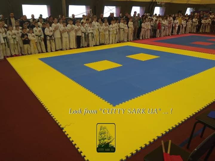 Чемпіонат Київської області з таеквон-до, Бориспіль. Фото