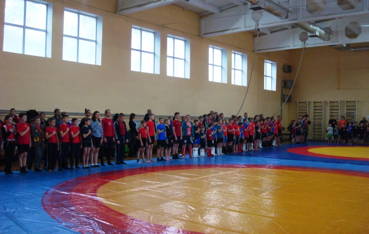 чемпіонат Київської області з панкратіону. фото