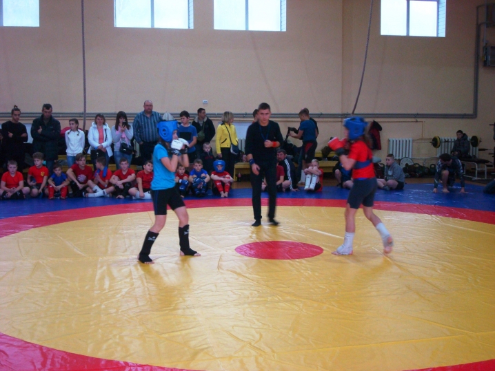 чемпіонат Київської області з панкратіону. фото