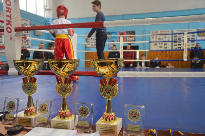  Кубок Київської області з кікбоксингу ISKA, Обухів. Фото