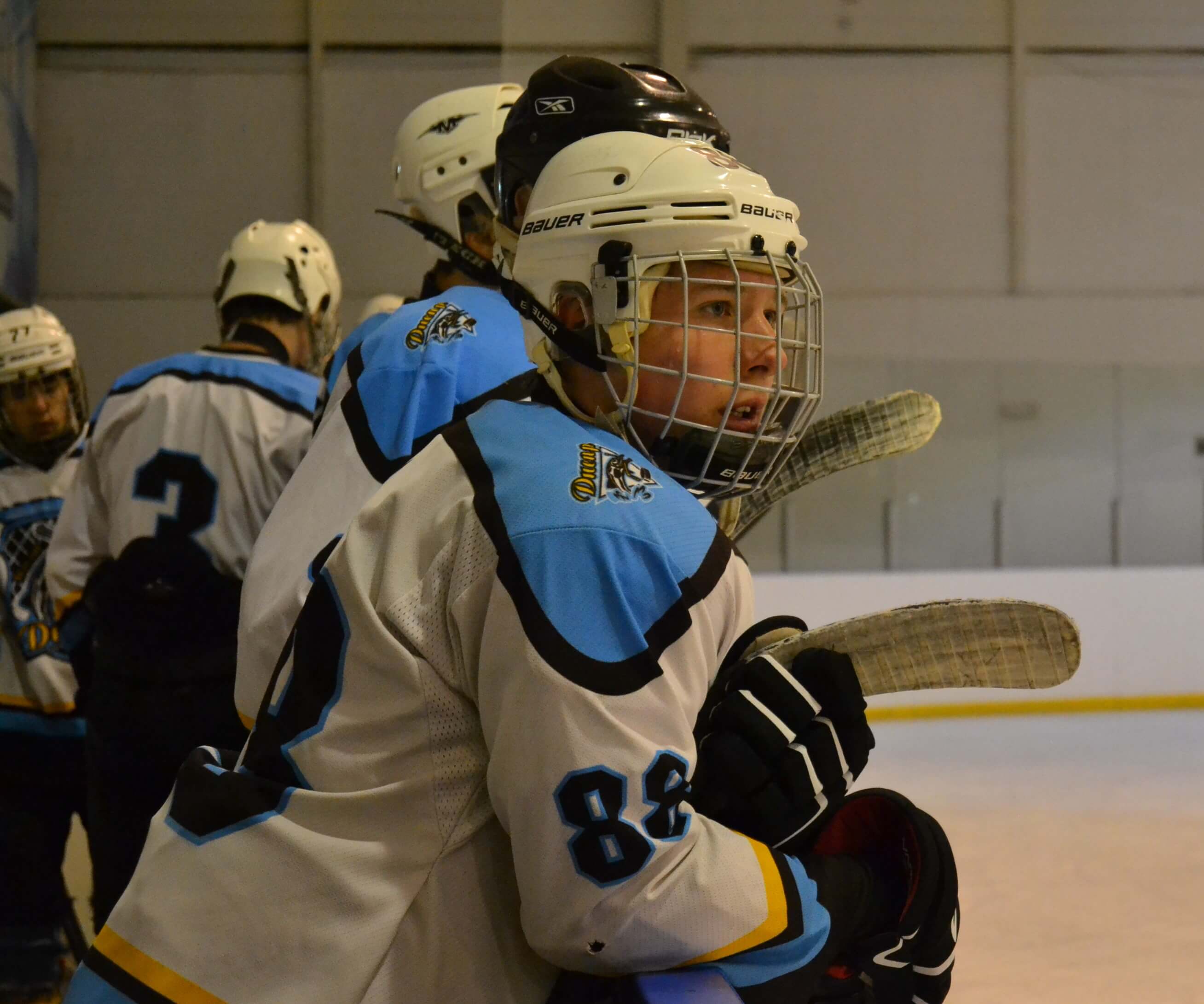 Хокей, Богуслав