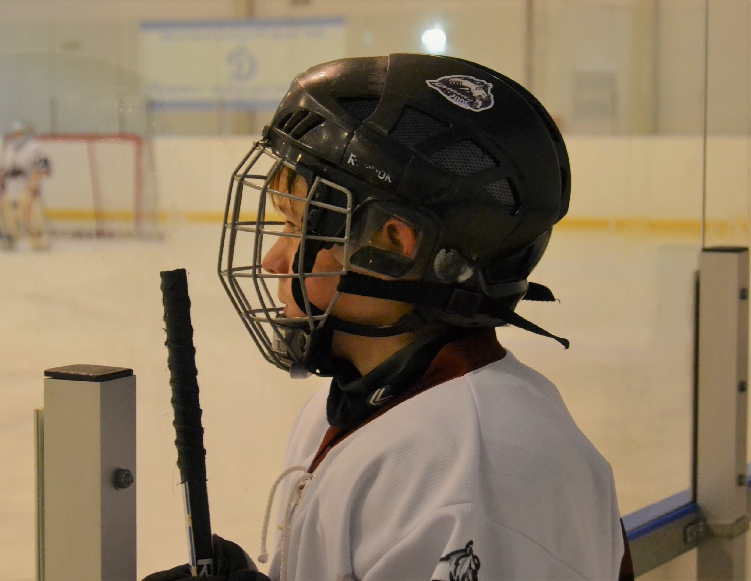 Хокей Богуслав