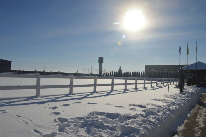 Кінний клуб «Дергачов». Фото