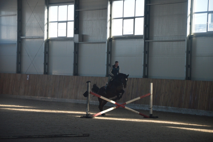 Кінний клуб «Дергачов». Фото