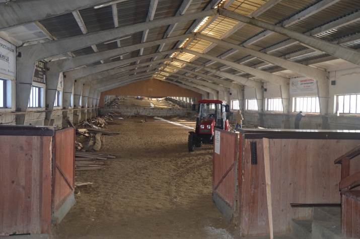 Кінний клуб «Дергачов». Фото