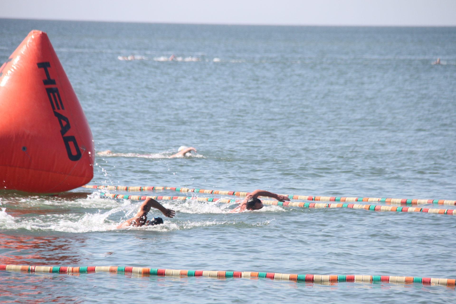 чемпіонат України з плавання на відкритій воді, Бердянськ. Фото