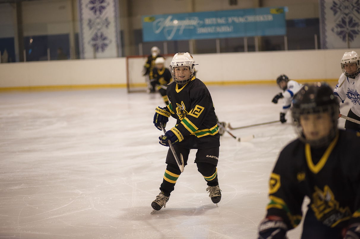 Льодограй, Богуслав