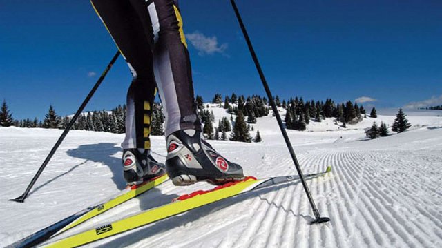 лижні перегони. фото