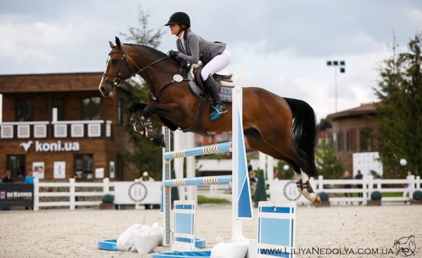 Чемпіонат України з конкуру, Лісники. Фото