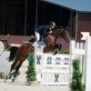 2-й етап Кубку світу з кінного спорту, Греція. Фото