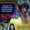 Турнір з боксу, Пісківка. Фото