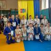 Дзюдо, Васильків. Фото