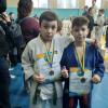 Чемпіонат Київської області з дзюдо, Васильків. Фото