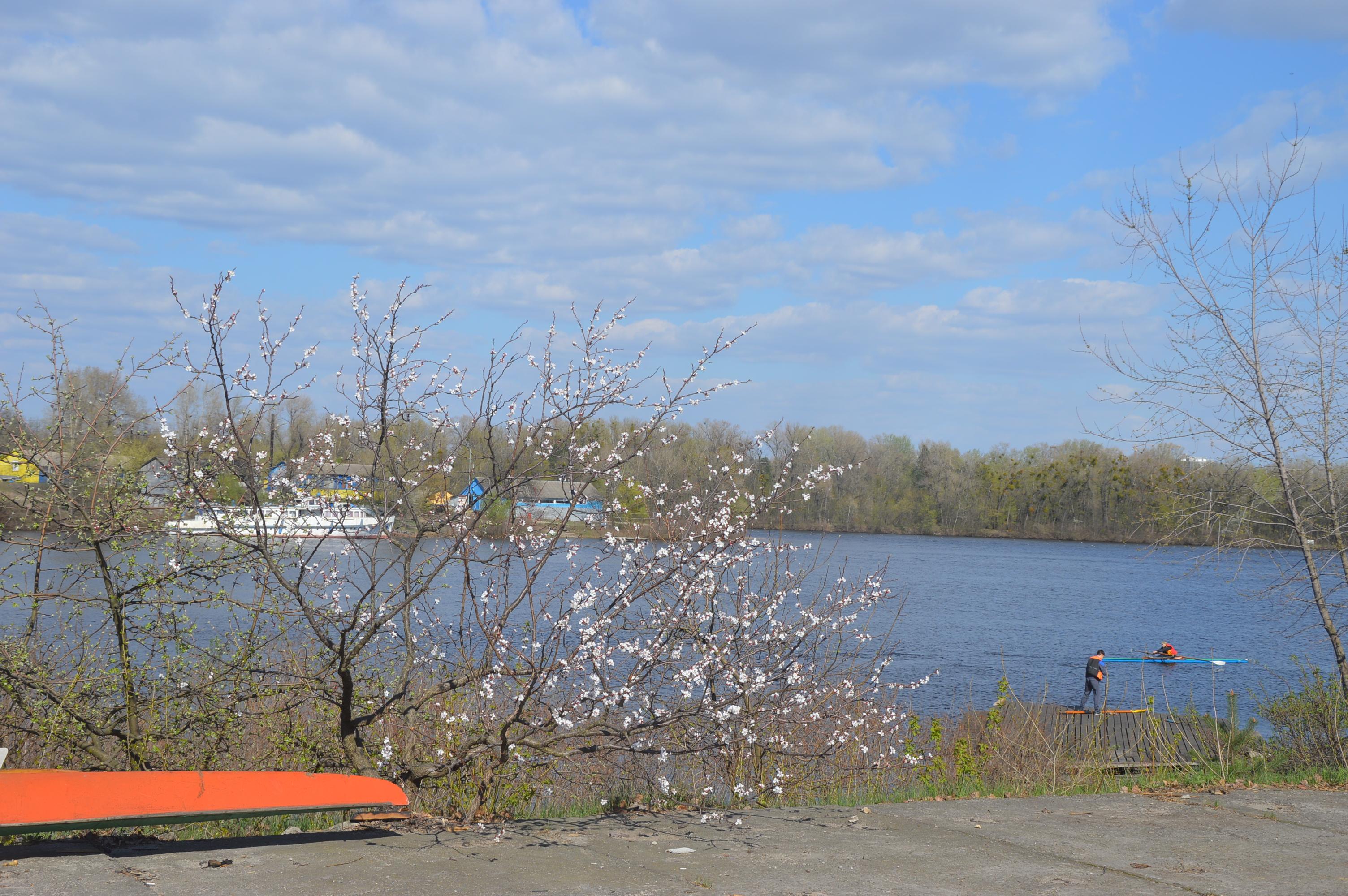 База «Водник». Фото База «Водник». Фото