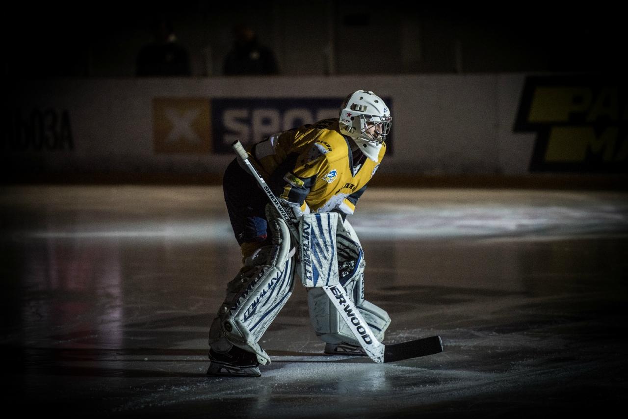 Донбас - Білий Барс, плей-офф. Фото