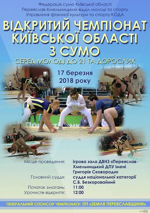 чемпіонат київської області з сумо. фото